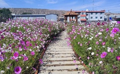 祼体美女自抠图